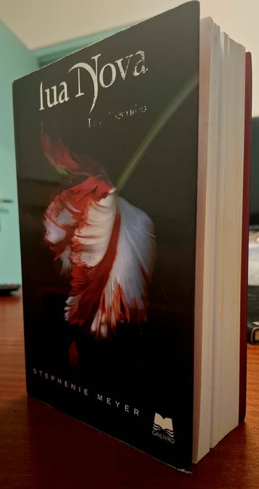 Saga Twilight (5 livros)