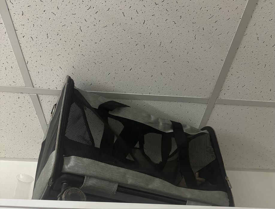 Перевізка для котів/собак