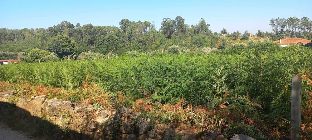 Terreno Cavernães - Viseu