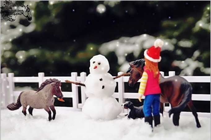 Custom koń Breyer by CollectA utytułowany, z nagrodami