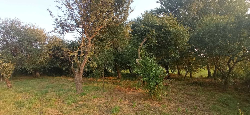 Продам будинок в с.Хацьки