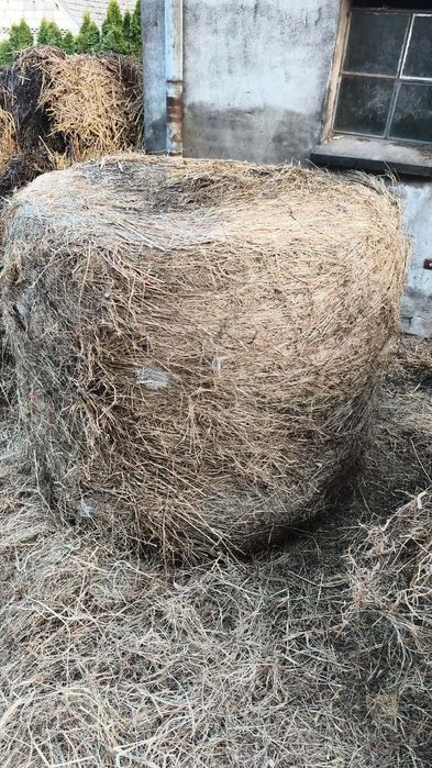 Baloty siano-kiszonki