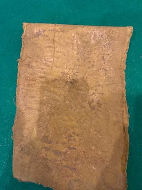 Papiro comprado no Egipto