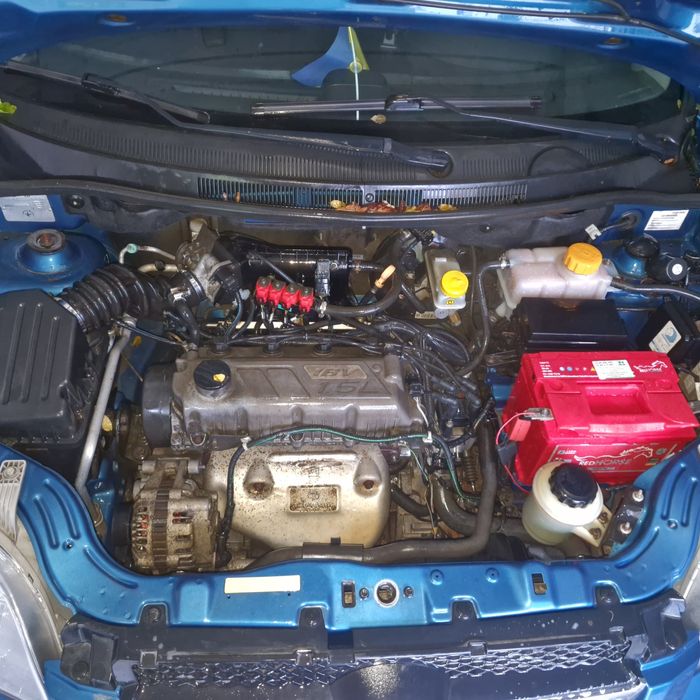 Заз  Віда Zaz Vida