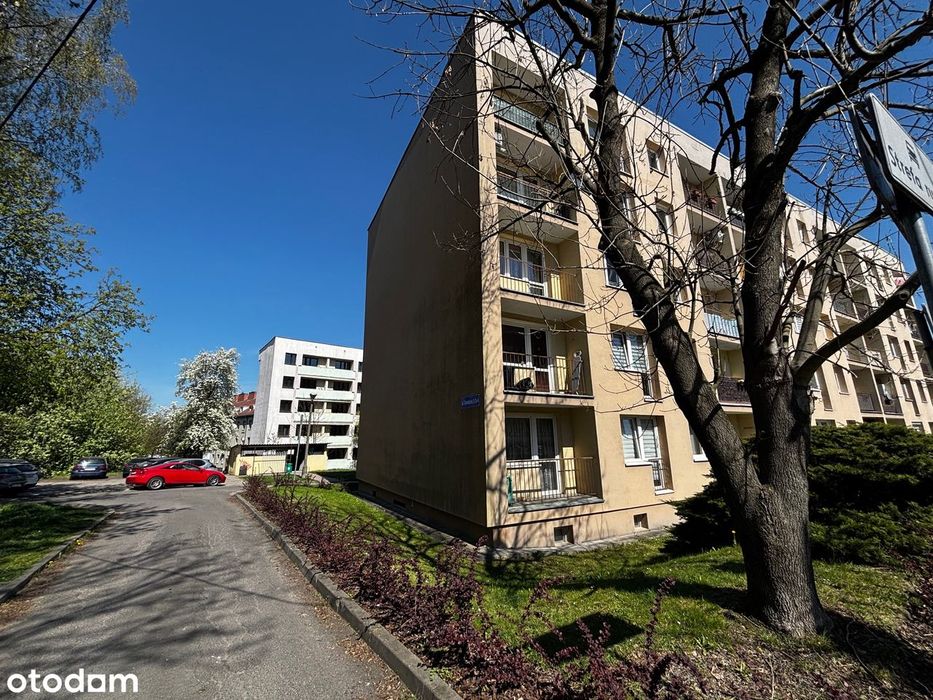 Dambonia 4: Ciche, zielone, bez prowizji, bezpośrednio od właściciela!