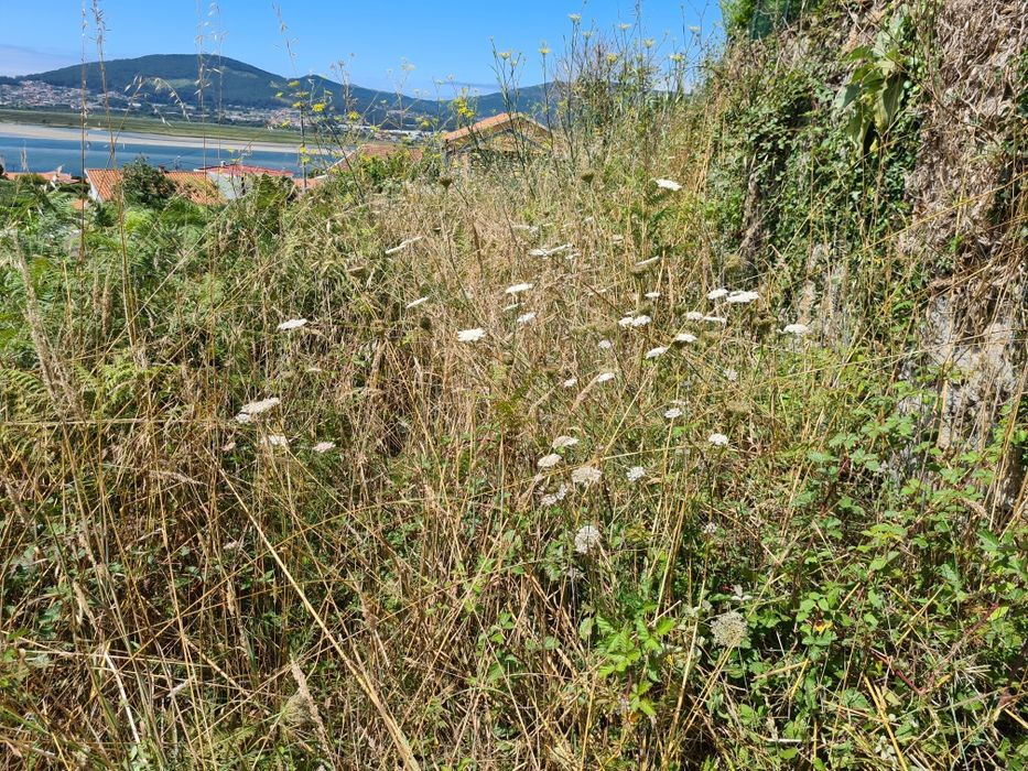 Limpezas jardins Ricardo Fernandes