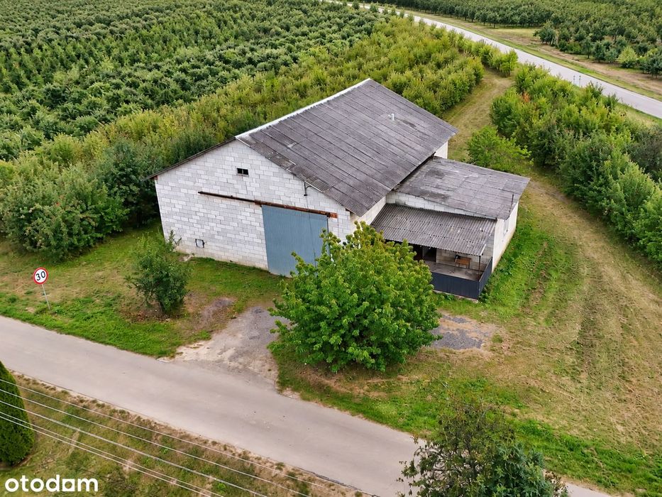 Atrakcyjna działka inwestycyjno-budowlana 4529 m² - Widok 3