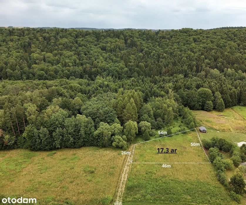 Działka budowlana pod lasem – 1730 m² Glinik Średni - WZ, prąd. - Widok 2