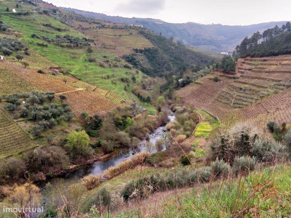 Quinta com 7ha e com projeto de remodelação, situada no Douro Vinha...