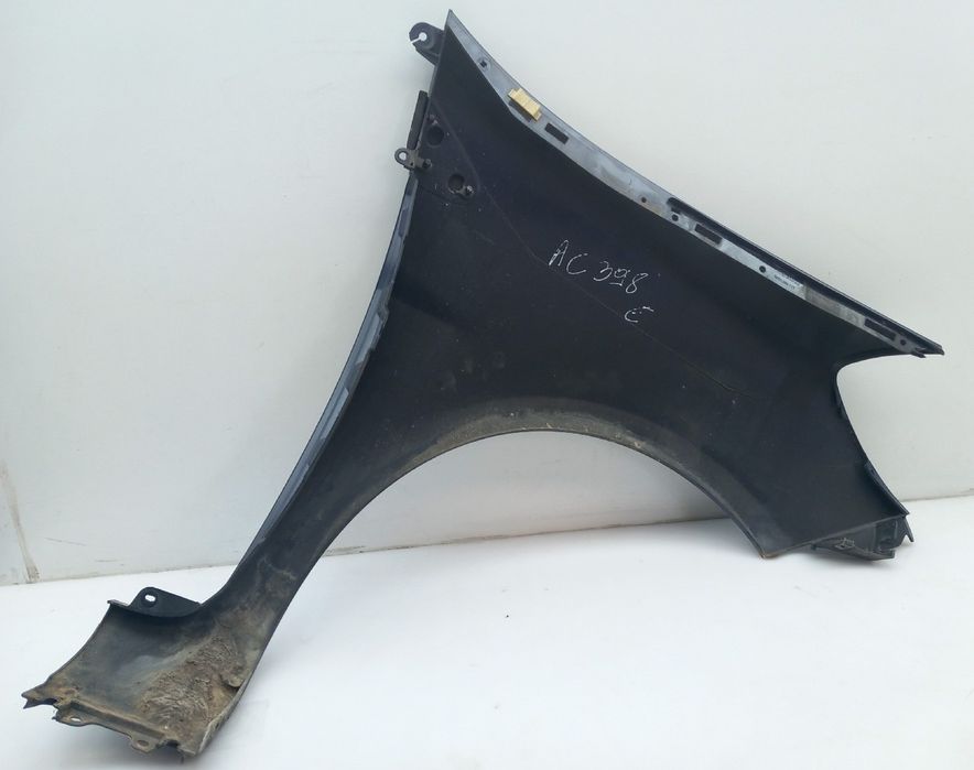 Guarda-lamas esquerdo RENAULT Clio III (BR0/1, CR0/1)