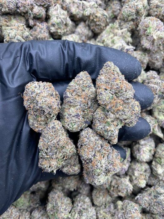 1000g Neon blue cherries