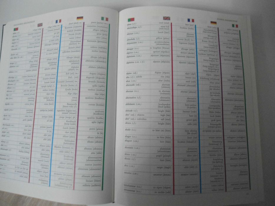 Dicionário Multilingue