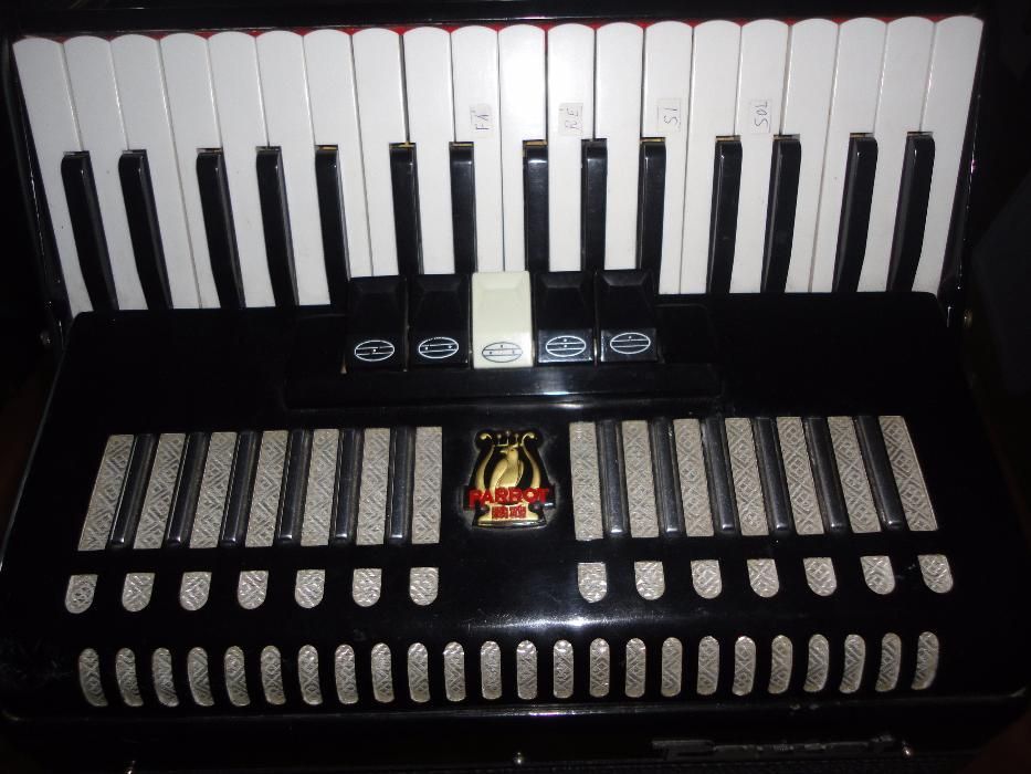 Acordeão Parrot