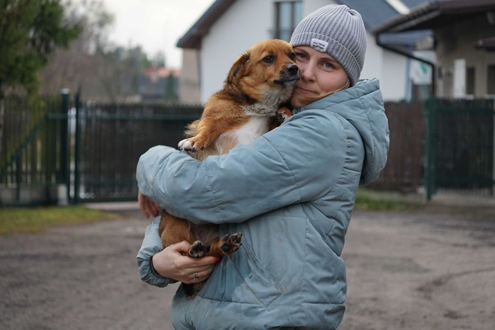 Blusia - mała, ruda sunia szuka domu