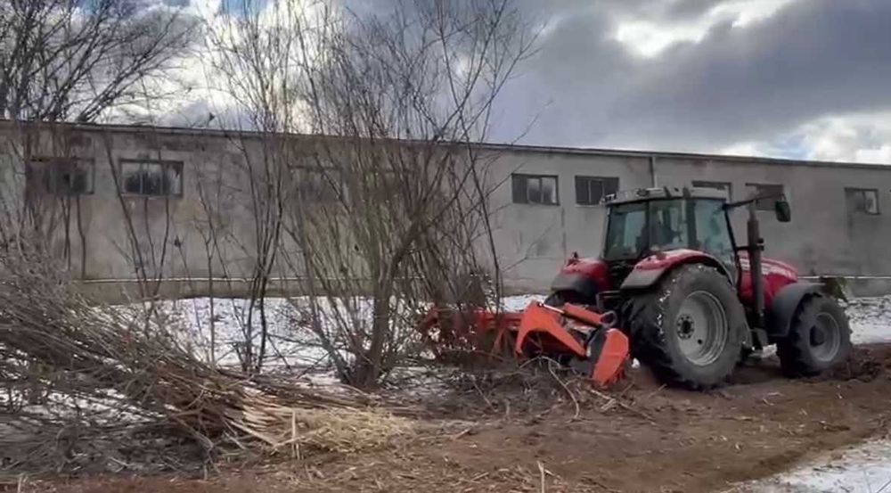 Mulczerowanie koszenie traw nieużytków zarośli drzew pni