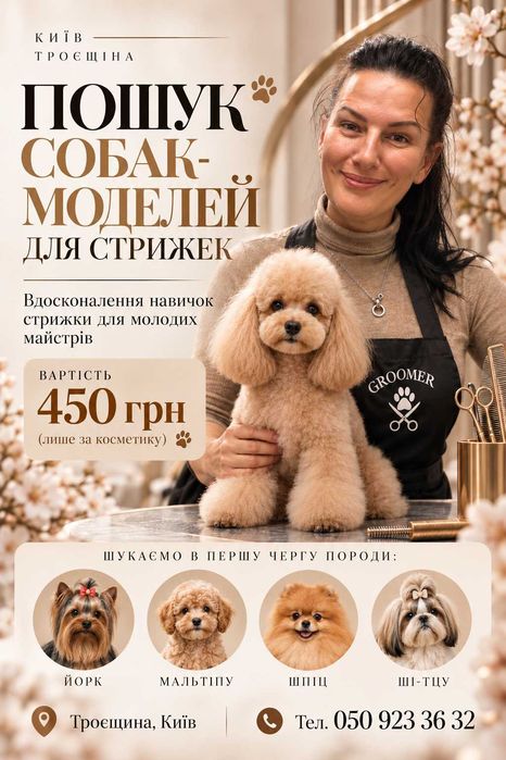 Грумінг собак, Троєщина. Пошук моделей для вдосконалення навичок стрижки