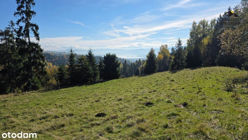 Widokowa polana w Gorcach