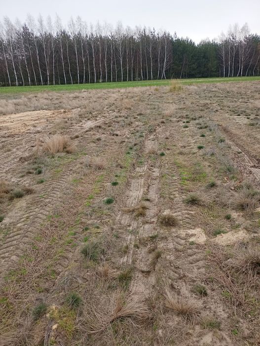 Sprzedam działki budowlane w gm. Orońsko