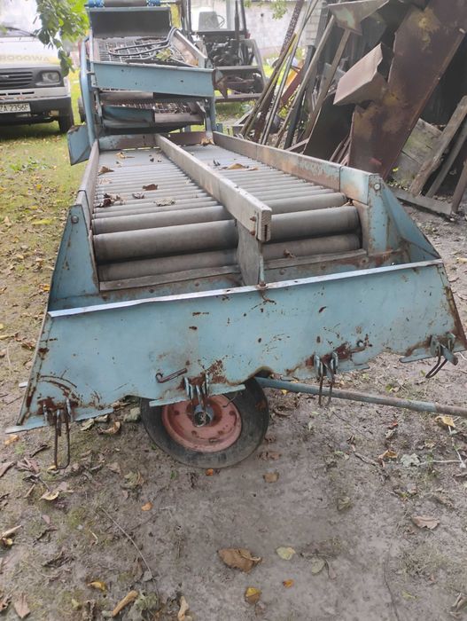 Sortownik do ziemniaków PUCK