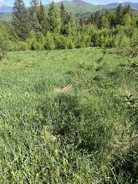 Продам земельну ділянку  Славське