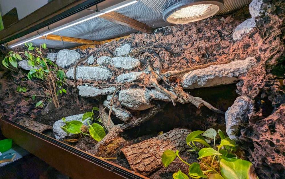 Terrarium para uma cobra