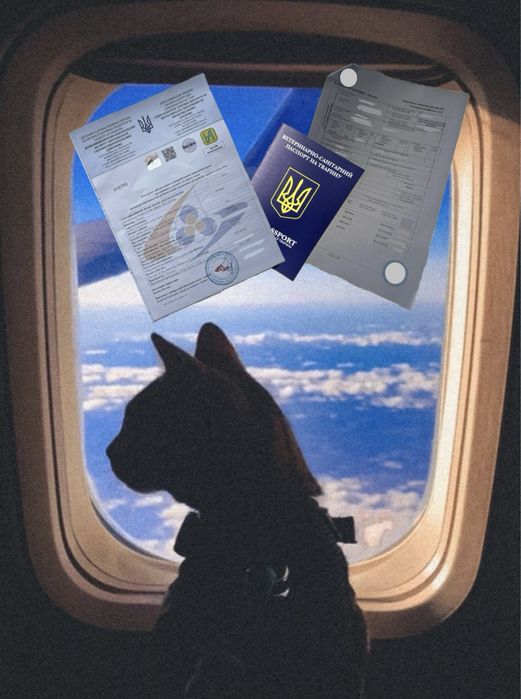 Документи для тварин собак котів титри антитіла на сказ паспорт Європа