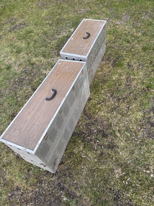 Pojemnik transportowy dla gołebi