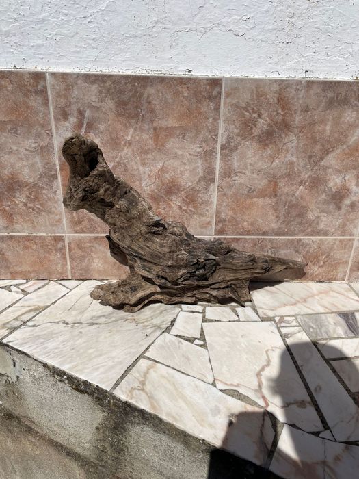 Madeira para Terrário/Aquário - Mais informações dm