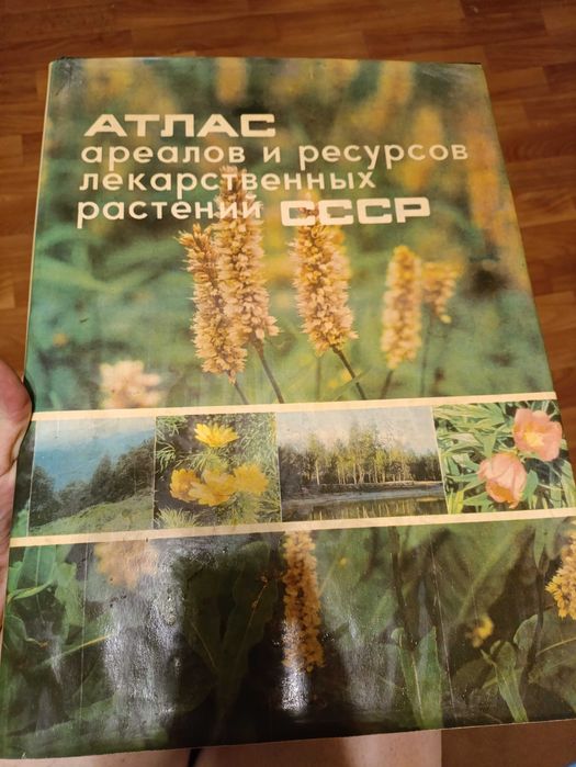 Атлас ареалов и ресурсов лекарственных растений СССР
