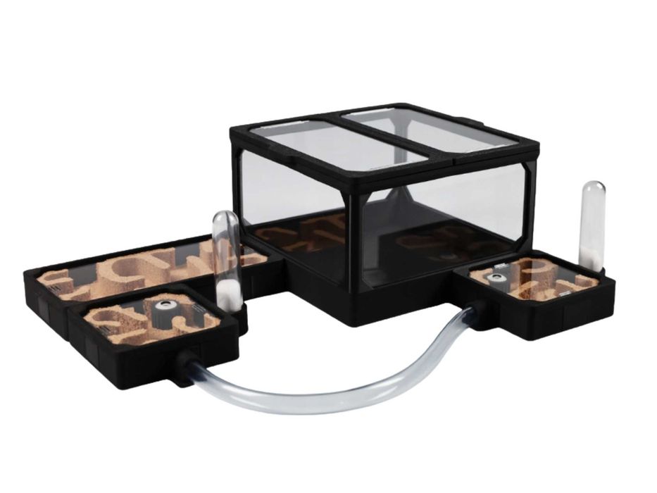 Modułowe Korkowe TERRARIUM DLA MRÓWEK 280x210 Formikarium - WYPRZEDAŻ
