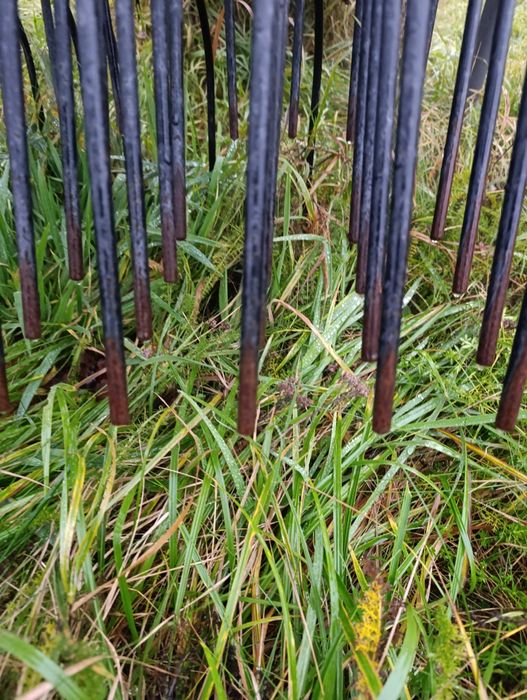 Zgrabiarka Fella TS 456 DN