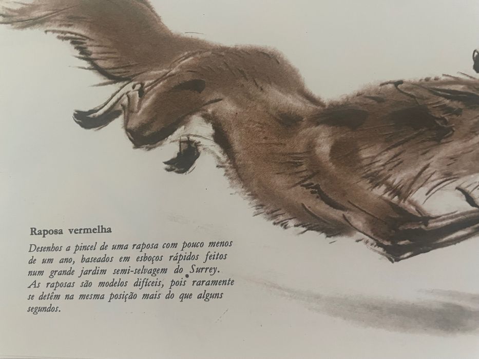 Livros baratos e bons