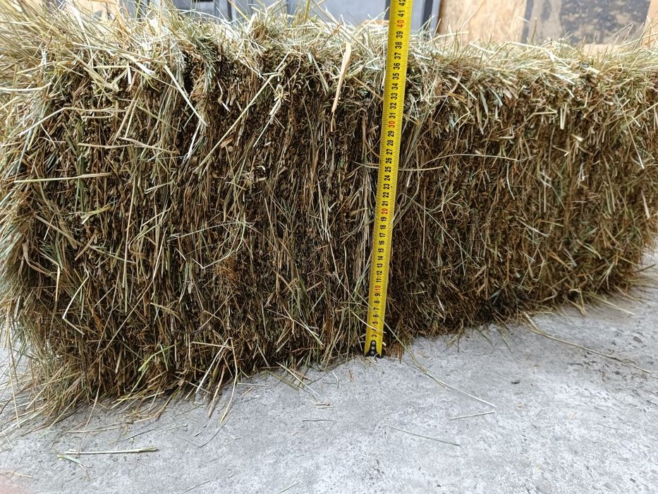 Продам Сіно в тюках