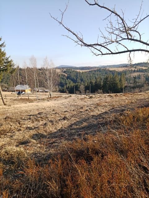 Продам земельну ділянку