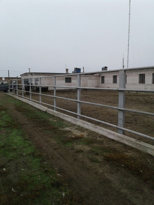 Продам отдельностоящую животноводческую ферму в Криворожском районе
