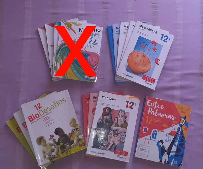 Manuais/Livros Escolares 12° Ano
