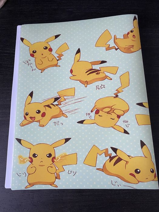 Pokémon TCG - Album na 216 kart - 24x9