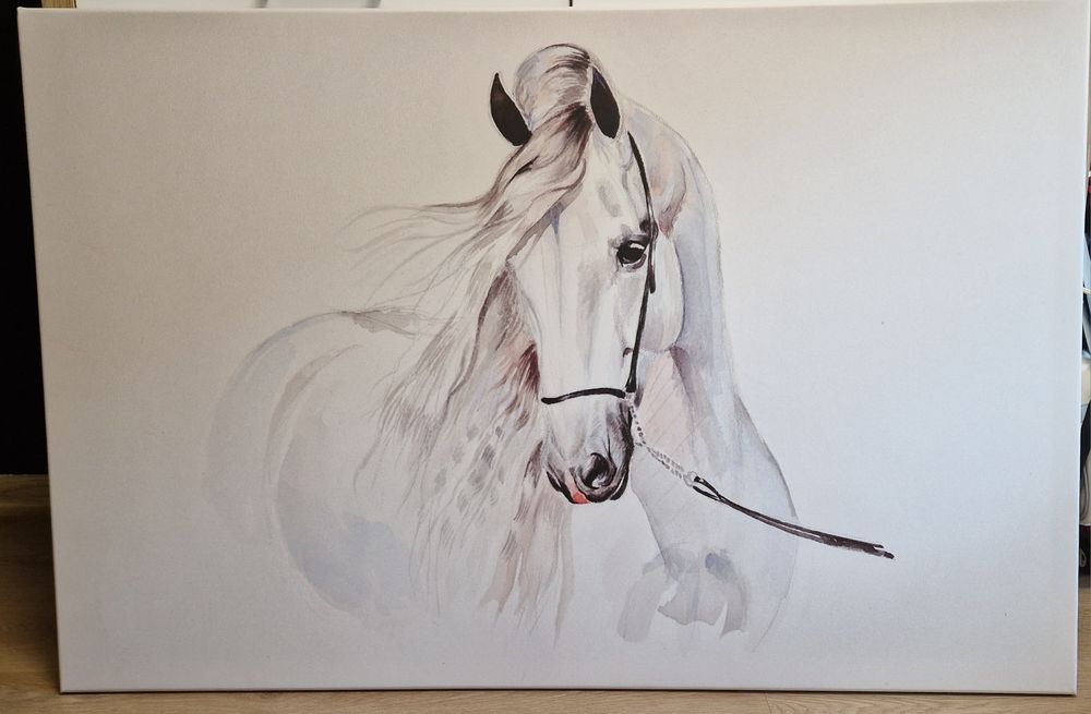 Obraz koń 120 x 80 cm