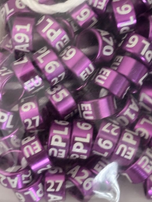 Obrączki 2027  dla  egzotyki od 2,5 do 9 mm na 2027r