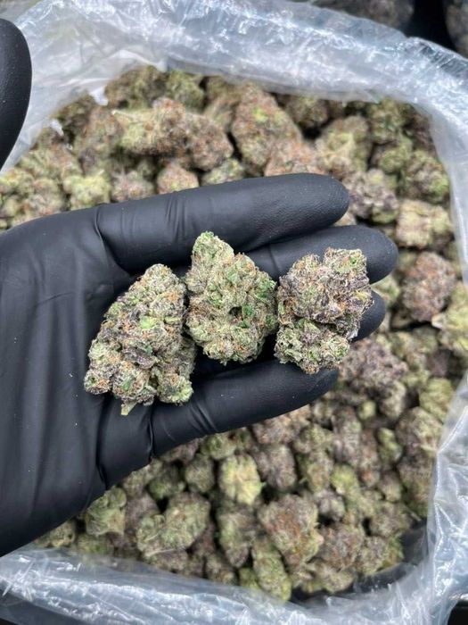 Dry CBD Slush Mints /THC<0.3%
