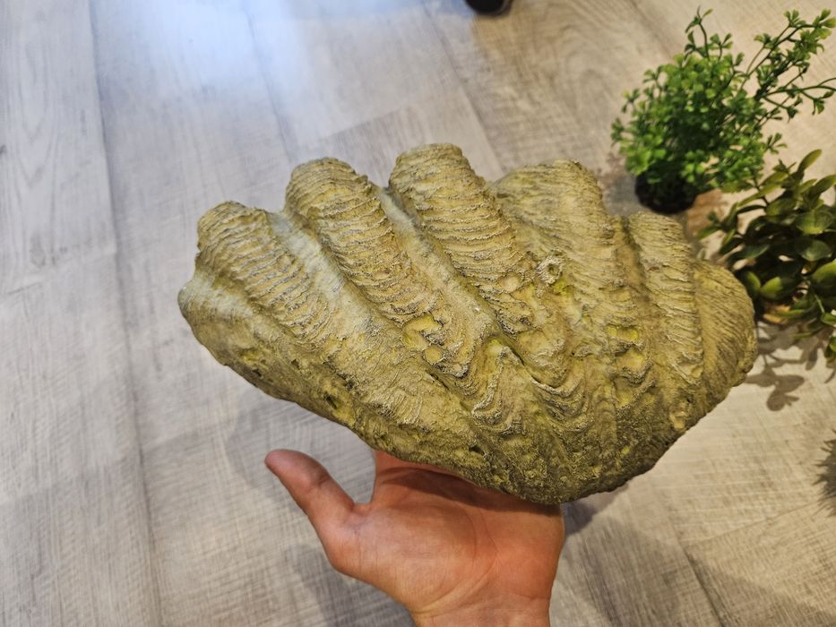 Dekoracje do terarium