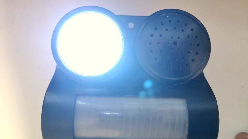 Odstraszacz gołębi, a także złodzieje.I w nocy i w dniu.