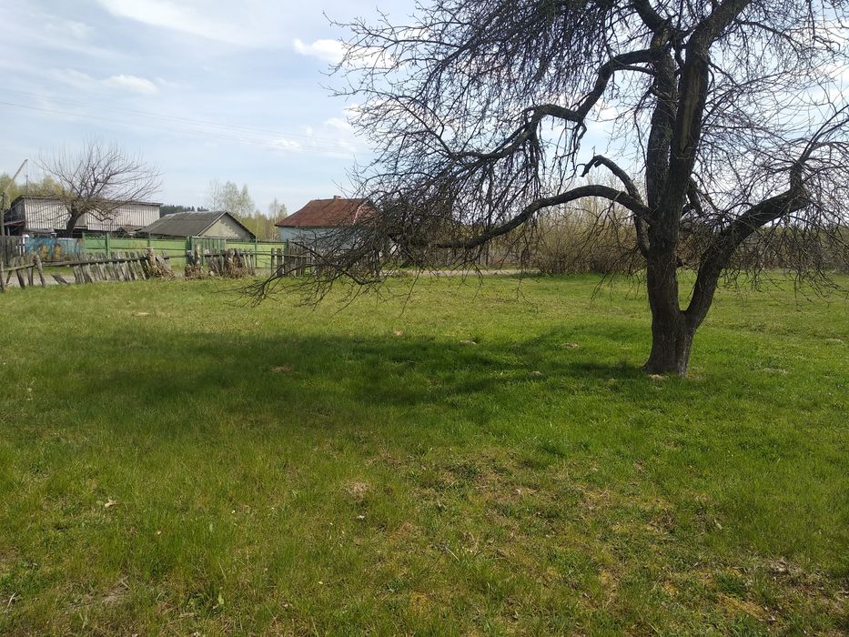 Продажа земельного участка в с.Андреевка (Вышгородский район)