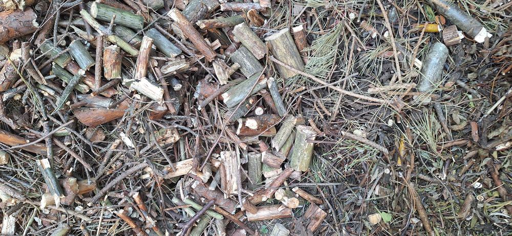 Zrębki drewno z rębaka