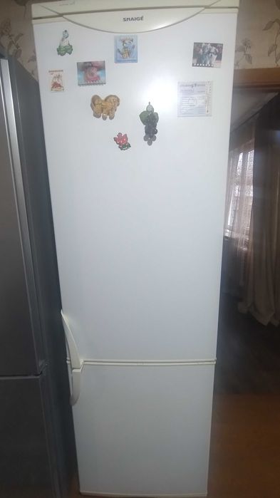 Холодильник Снайге RF390-1803A