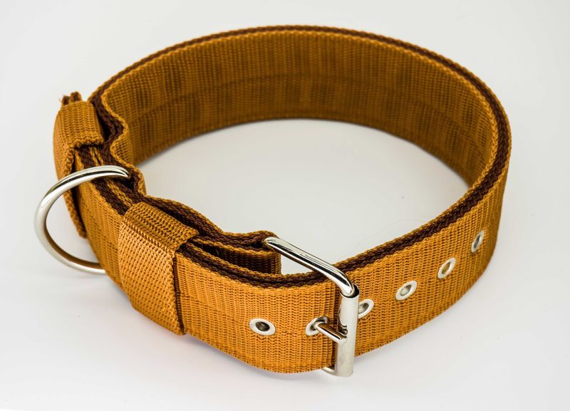 Obroża 5cm. Mocna i szeroka obroża dla psa. Kolor jasny brąz.
