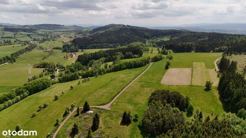 3 Działki W Bartnicy | 3009 M² Z Gotowymi Warunkami Zabudowy