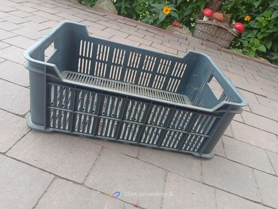 Plastikowe skrzynki na owoce Promocja zimowa!