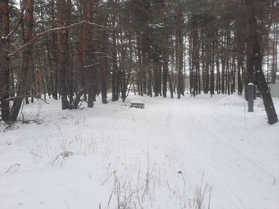 Продаж ділянки, с. Нижча Дубечня (під садівництво)