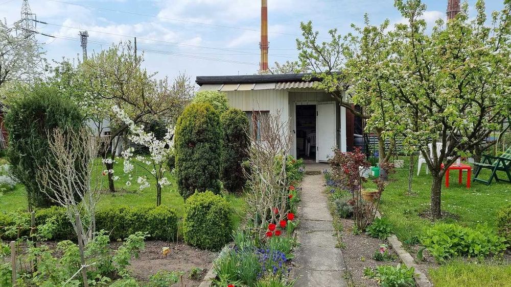 Działka ROD Chabry Opole